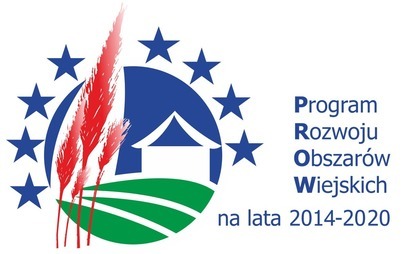 Zdjęcie do Ostrowice i Borne będą miały nowe świetlice
